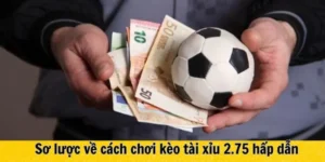 Phân Tích Kèo 2.75 Tại BongDaLu Và Cách Đọc Vị Nhà Cái