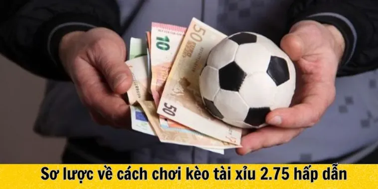Phân Tích Kèo 2.75 Tại BongDaLu Và Cách Đọc Vị Nhà Cái