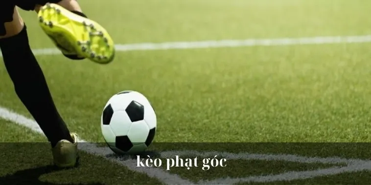 Chiến Thuật Cược Kèo Phạt Góc Bóng Đá Tại BongDaLu Đỉnh Cao