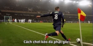 Chiến Thuật Cược Kèo Phạt Góc Bóng Đá Tại BongDaLu Đỉnh Cao