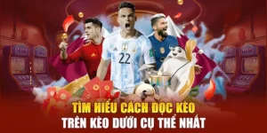 Chiến Thuật Soi Kèo Trên Kèo Dưới Tại BongDaLu Chuẩn Xác Nhất