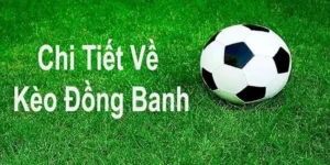 Chiến Thuật Bắt Kèo Đồng Banh Tại BongDaLu Hiệu Quả Từ Cao Thủ