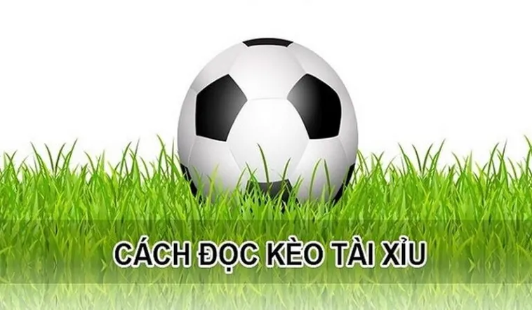 Bí Kíp Soi Kèo Tài Xỉu Hiệp 1 Tại BongDaLu Chuẩn Xác Nhất