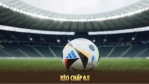 Bí Quyết Đọc Kèo Chấp 0.5 Trong Bóng Đá Tại BongDaLu Chuẩn Xác Nhất