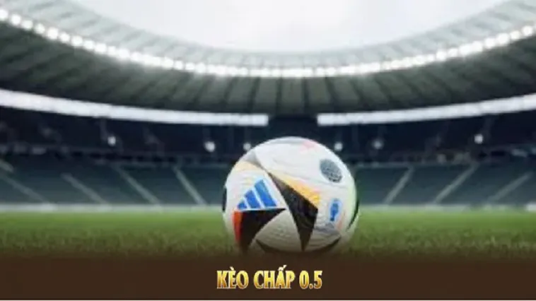 Bí Quyết Đọc Kèo Chấp 0.5 Trong Bóng Đá Tại BongDaLu Chuẩn Xác Nhất