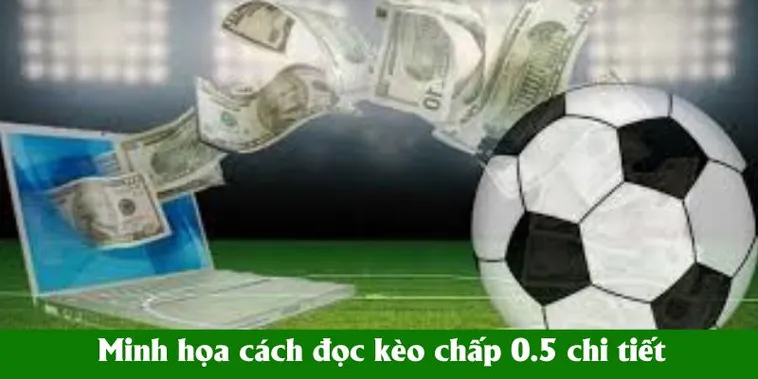 Bí Quyết Đọc Kèo Chấp 0.5 Trong Bóng Đá Tại BongDaLu Chuẩn Xác Nhất