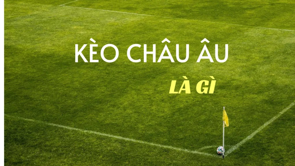 Hướng Dẫn Soi Kèo Châu Âu Tại BongDaLu Chuẩn Xác Dành Cho Người Mới