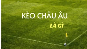 Hướng Dẫn Soi Kèo Châu Âu Tại BongDaLu Chuẩn Xác Dành Cho Người Mới