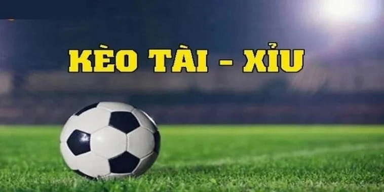 Hướng Dẫn Đọc Kèo Tài Xỉu Tại BongDaLu Chi Tiết