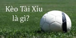 Hướng Dẫn Đọc Kèo Tài Xỉu Tại BongDaLu Chi Tiết