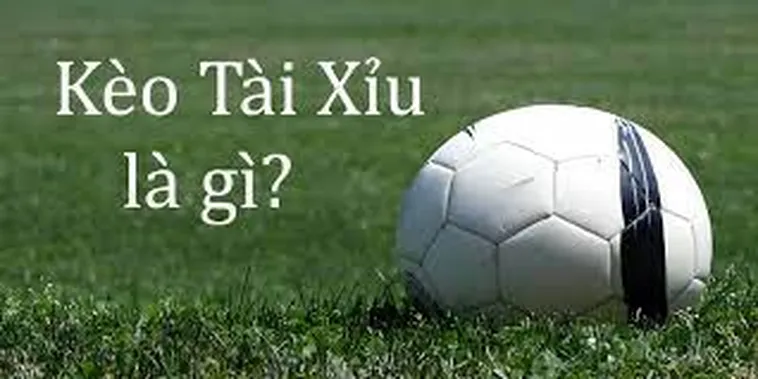 Hướng Dẫn Đọc Kèo Tài Xỉu Tại BongDaLu Chi Tiết