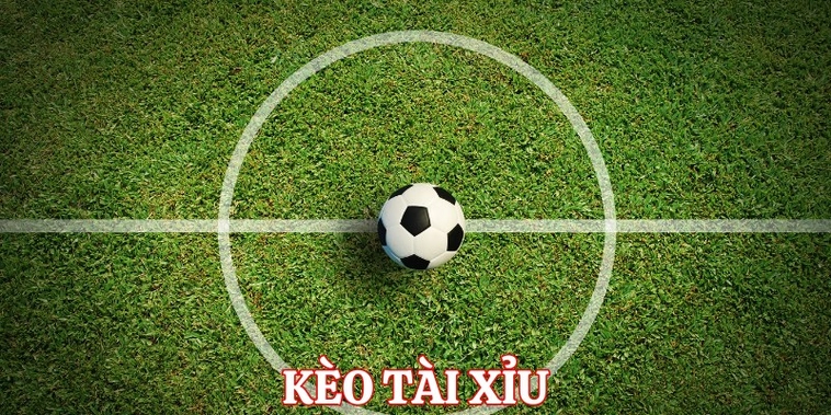 Kinh Nghiệm Đánh Kèo Tài Xỉu Bóng Đá Tại BongDaLu Hiệu Quả
