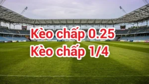 Giải Mã Kèo Chấp 0.25 Trong Bóng Đá Tại BongDaLu Dành Cho Tân Thủ