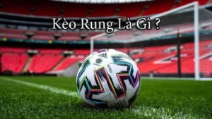 Kinh Nghiệm Soi Kèo Rung Trong Bóng Đá Tại BongDaLu Hiệu Quả Và Chính Xác