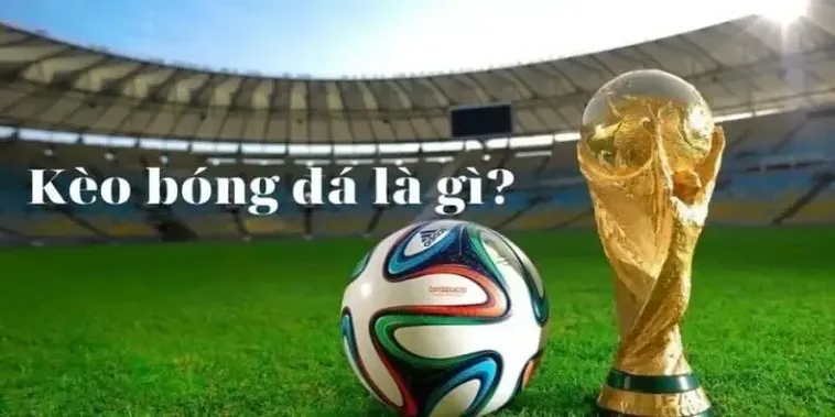 Bạn có thể dễ dàng so sánh tỷ lệ kèo chấp, kèo tài xỉu, kèo châu Âu của các nhà cái khác nhau để chọn ra cửa đặt có lợi nhất.